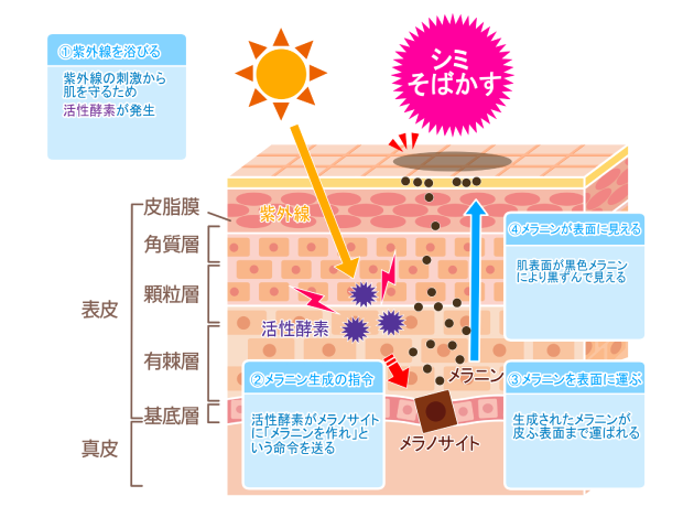 当院で使用しているレーザーの特長